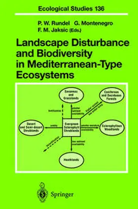 Rundel / Jaksic / Montenegro |  Landscape Disturbance and Biodiversity in Mediterranean-Type Ecosystems | Buch |  Sack Fachmedien