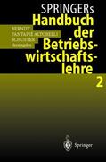Berndt / Schuster / Fantapie Altobelli |  Springers Handbuch der Betriebswirtschaftslehre 2 | Buch |  Sack Fachmedien