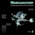 Hirsch / Kramer |  Neuroanatomy | Buch |  Sack Fachmedien