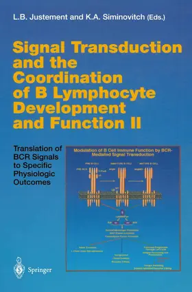 Siminovitch / Justement |  Signal Transduction and the Coordination of B Lymphocyte Development and Function II | Buch |  Sack Fachmedien