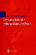 Schafmeister |  Geostatistik für die hydrogeologische Praxis | Buch |  Sack Fachmedien