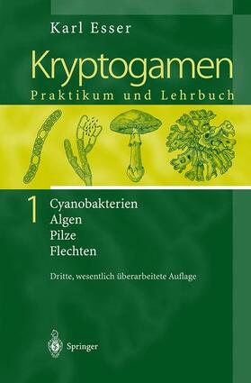 Esser | Kryptogamen 1 | Buch | sack.de