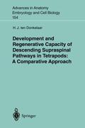 Donkelaar |  Development and Regenerative Capacity of Descending Supraspinal Pathways in Tetrapods | Buch |  Sack Fachmedien
