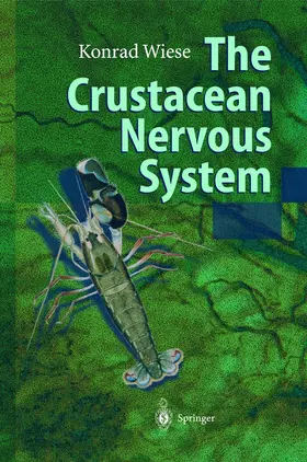 Wiese |  The Crustacean Nervous System | Buch |  Sack Fachmedien