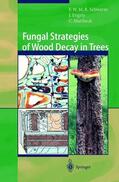 Schwarze / Mattheck / Engels |  Fungal Strategies of Wood Decay in Trees | Buch |  Sack Fachmedien
