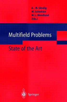 Sändig / Schiehlen / Wendland |  Multifield Problems | Buch |  Sack Fachmedien