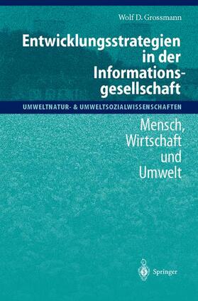 Grossmann | Entwicklungsstrategien in der Informationsgesellschaft | Buch | 978-3-540-67800-7 | sack.de