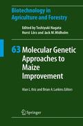 Larkins / Kriz |  Molecular Genetic Approaches to Maize Improvement | Buch |  Sack Fachmedien
