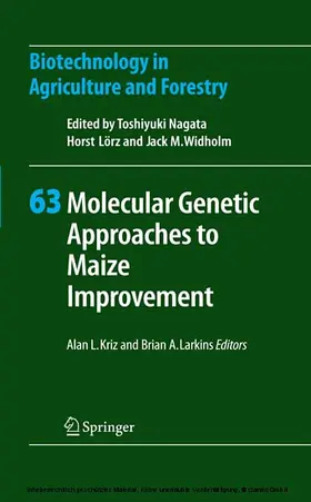 Kriz / Nagata / Larkins | Molecular Genetic Approaches to Maize Improvement | E-Book | sack.de