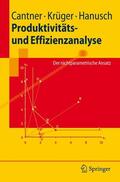 Cantner / Hanusch / Krüger |  Produktivitäts- und Effizienzanalyse | Buch |  Sack Fachmedien
