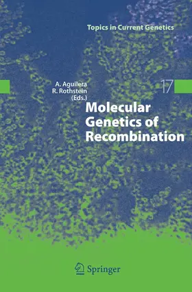 Aguilera / Rothstein |  Molecular Genetics of Recombination | eBook | Sack Fachmedien