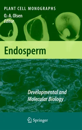 Olsen |  Endosperm | eBook | Sack Fachmedien