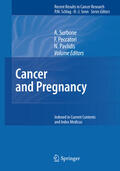 Surbone / Peccatori / Pavlidis |  Cancer and Pregnancy | eBook | Sack Fachmedien