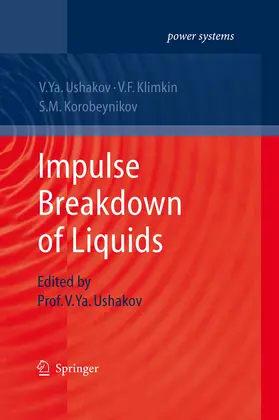 Ushakov / Klimkin / Korobeynikov |  Impulse Breakdown of Liquids | eBook | Sack Fachmedien