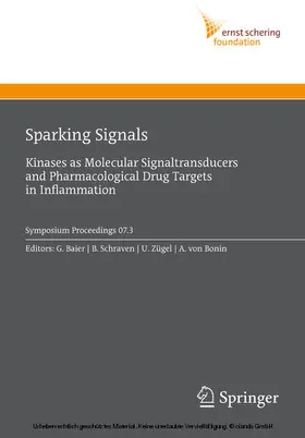 Baier / Schraven / Zügel |  Sparking Signals | eBook | Sack Fachmedien