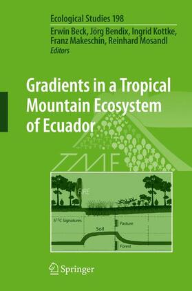 Beck / Bendix / Mosandl |  Gradients in a Tropical Mountain Ecosystem of Ecuador | Buch |  Sack Fachmedien