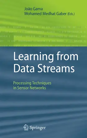 Gama / Gaber | Learning from Data Streams | E-Book | sack.de