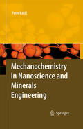 Balaz |  Mechanochemistry in Nanoscience and Minerals Engineering | eBook | Sack Fachmedien