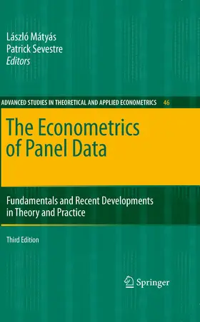 Mátyás / Sevestre |  The Econometrics of Panel Data | eBook | Sack Fachmedien