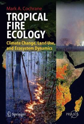 Cochrane |  Tropical Fire Ecology | Buch |  Sack Fachmedien