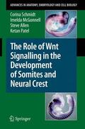 Schmidt / Patel / McGonnell |  The Role of Wnt Signalling in the Development of Somites and Neural Crest | Buch |  Sack Fachmedien