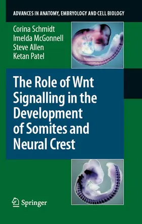 Schmidt / McGonnell / Allen |  The Role of Wnt Signalling in the Development of Somites and Neural Crest | eBook | Sack Fachmedien