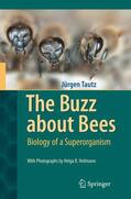 Tautz |  The Buzz about Bees | Buch |  Sack Fachmedien