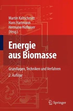 Kaltschmitt / Hartmann / Hofbauer |  Energie aus Biomasse | eBook | Sack Fachmedien