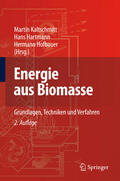 Kaltschmitt / Hartmann / Hofbauer |  Energie aus Biomasse | eBook | Sack Fachmedien