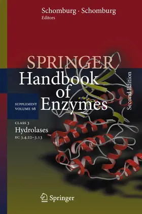 Schomburg / Chang | Class 3 Hydrolases | E-Book | sack.de