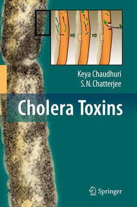 Chatterjee / Chaudhuri |  Cholera Toxins | Buch |  Sack Fachmedien