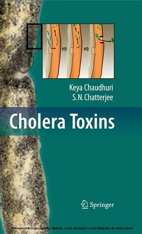 Chaudhuri / Chatterjee | Cholera Toxins | E-Book | sack.de