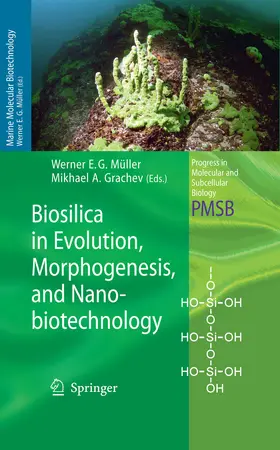 Müller / Grachev |  Biosilica in Evolution, Morphogenesis, and Nanobiotechnology | eBook | Sack Fachmedien