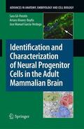 Gil-Perotín / Garcia-Verdugo / Alvarez-Buylla |  Identification and Characterization of Neural Progenitor Cells in the Adult Mammalian Brain | Buch |  Sack Fachmedien
