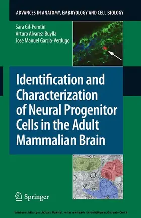 Gil-Perotín / Alvarez-Buylla / Garcia-Verdugo | Identification and Characterization of Neural Progenitor Cells in the Adult Mammalian Brain | E-Book | sack.de