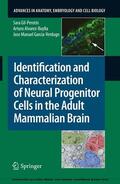 Gil-Perotín / Alvarez-Buylla / Garcia-Verdugo |  Identification and Characterization of Neural Progenitor Cells in the Adult Mammalian Brain | eBook | Sack Fachmedien