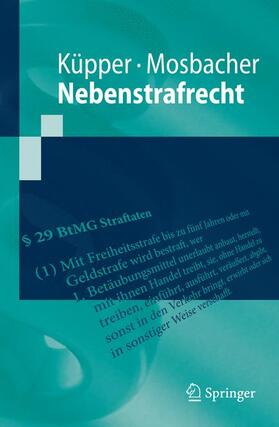Küpper / Mosbacher | Nebenstrafrecht | Buch | 978-3-540-89065-2 | sack.de