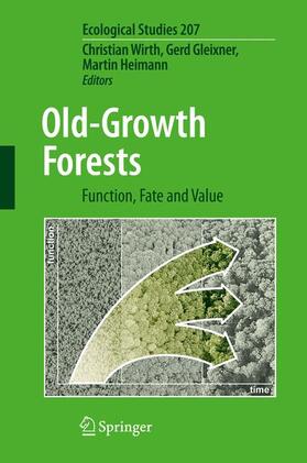 Wirth / Gleixner / Heimann | Old-Growth Forests | Buch | 978-3-540-92705-1 | sack.de