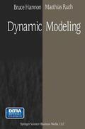 Ruth / Hannon |  Dynamic Modeling | Buch |  Sack Fachmedien