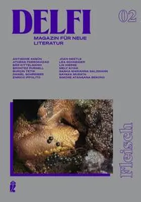 Schreiber / Aydemir / Hierse |  Delfi Fleisch | Buch |  Sack Fachmedien