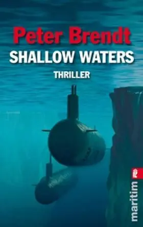 Brendt |  Shallow Waters | Buch |  Sack Fachmedien