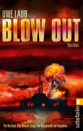 Laub |  Blow Out | Buch |  Sack Fachmedien
