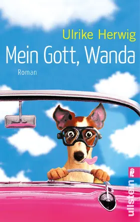 Herwig | Mein Gott, Wanda | Buch | 978-3-548-28585-6 | www.sack.de
