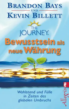 Bays / Billett |  The Journey - Bewusstsein als neue Währung | Buch |  Sack Fachmedien