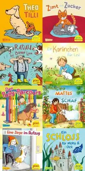 diverse |  WWS Pixi-Box 306 Pixis Lieblingstiere | Buch |  Sack Fachmedien