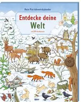 Diverse |  Pixi "Entdecke" Adventskalender | Sonstiges |  Sack Fachmedien