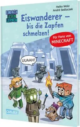 Wolz |  Minecraft 10: Eiswanderer - bis die Zapfen schmelzen! | Buch |  Sack Fachmedien