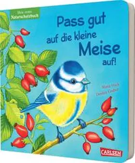 Höck |  Pass gut auf die kleine Meise auf | Buch |  Sack Fachmedien