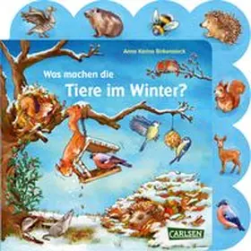 Birkenstock | Was machen die Tiere im Winter? | Buch | 978-3-551-17285-3 | www.sack.de