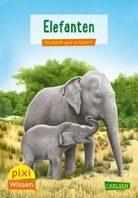Sörensen |  Pixi Wissen 18: VE 5 Elefanten | Buch |  Sack Fachmedien